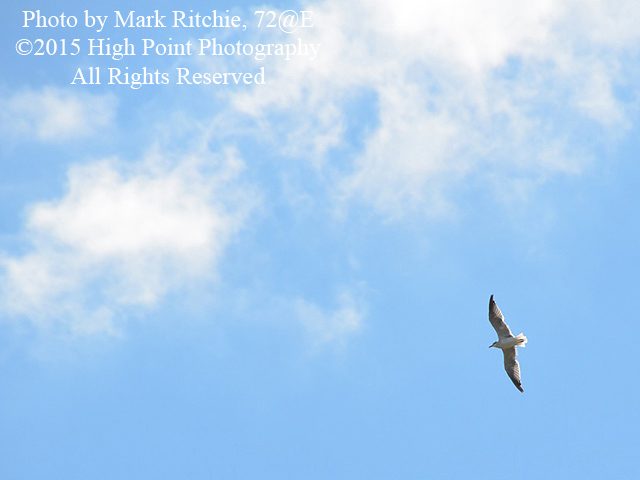 Click image for larger version

Name:	MDR_2406.jpg
Views:	136
Size:	115.0 KB
ID:	437425