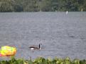 Click image for larger version

Name:	IMG_1622.JPG
Views:	933
Size:	81.9 KB
ID:	334192