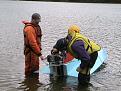Click image for larger version

Name:	IMG_3259.JPG
Views:	419
Size:	146.2 KB
ID:	334664