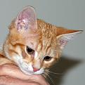 Click image for larger version

Name:	High_Point_DSC_1903R1.jpg
Views:	2006
Size:	145.0 KB
ID:	335241