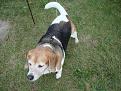 Click image for larger version

Name:	Grass Lake 7-26-09 020.jpg
Views:	824
Size:	152.7 KB
ID:	337717