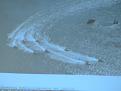 Click image for larger version

Name:	IMG_5981.JPG
Views:	851
Size:	88.3 KB
ID:	338066