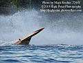 Click image for larger version

Name:	Highpoint_DSC_2160R1.jpg
Views:	267
Size:	358.9 KB
ID:	339785