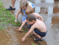 Click image for larger version

Name:	Lock-Haven-June-2010-(151).gif
Views:	354
Size:	202.1 KB
ID:	341450