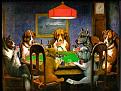 Click image for larger version

Name:	funnyfaces6001 dog poker.jpg
Views:	277
Size:	57.8 KB
ID:	343731