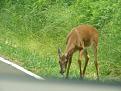 Click image for larger version

Name:	DSC04174.jpg
Views:	244
Size:	49.0 KB
ID:	346991