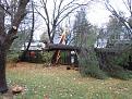 Click image for larger version

Name:	tree down 1.jpg
Views:	259
Size:	81.3 KB
ID:	349024