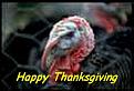 Click image for larger version

Name:	tn_95c4877.jpg
Views:	268
Size:	19.7 KB
ID:	353089
