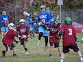 Click image for larger version

Name:	HighPoint_DSC_3458R1.jpg
Views:	642
Size:	419.2 KB
ID:	359124