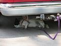 Click image for larger version

Name:	o-DogTiredHappy.jpg
Views:	175
Size:	148.3 KB
ID:	420246